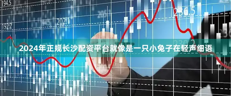 2024年正规长沙配资平台就像是一只小兔子在轻声细语