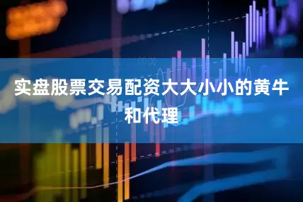 实盘股票交易配资大大小小的黄牛和代理
