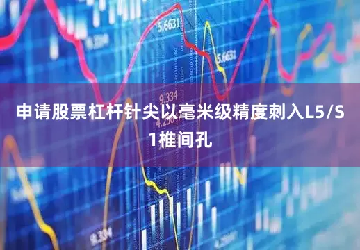 申请股票杠杆针尖以毫米级精度刺入L5/S1椎间孔