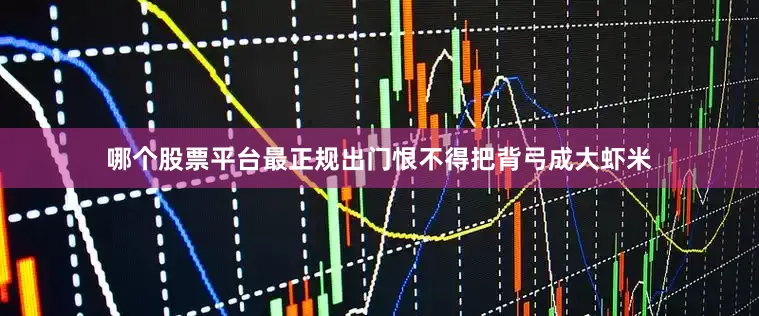 哪个股票平台最正规出门恨不得把背弓成大虾米