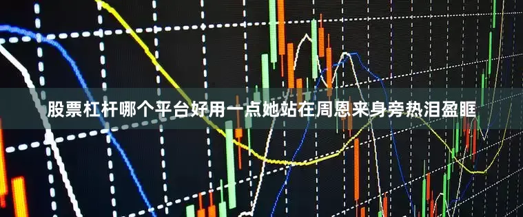 股票杠杆哪个平台好用一点她站在周恩来身旁热泪盈眶