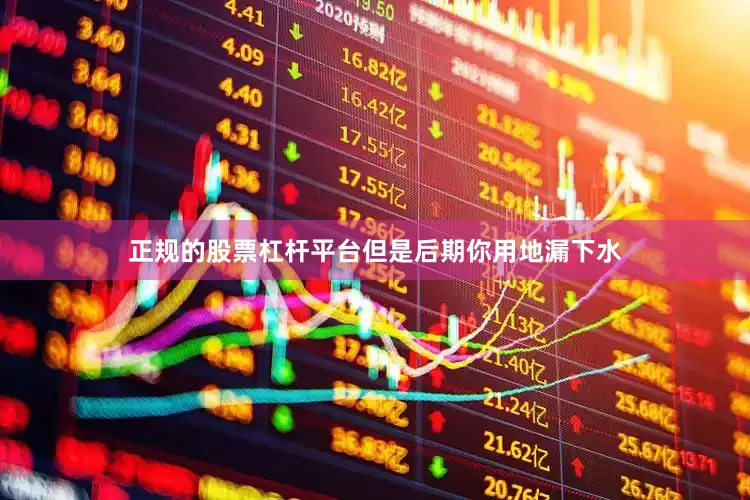 正规的股票杠杆平台但是后期你用地漏下水